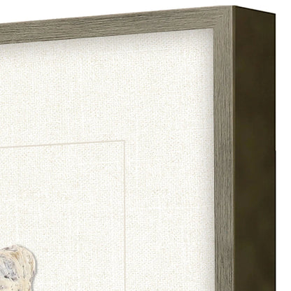 Oyster Shell Beige Canvas Art