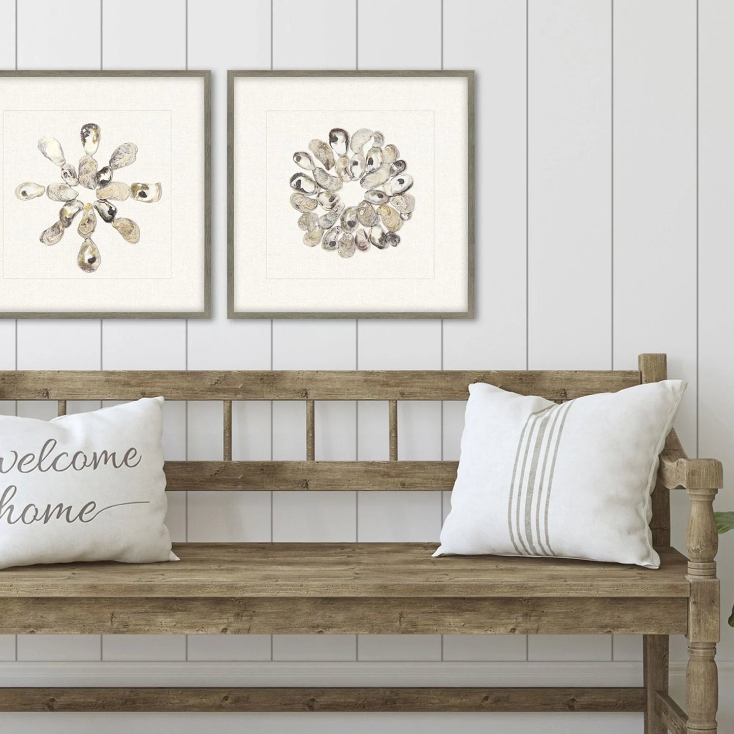 Oyster Shell Beige Canvas Art