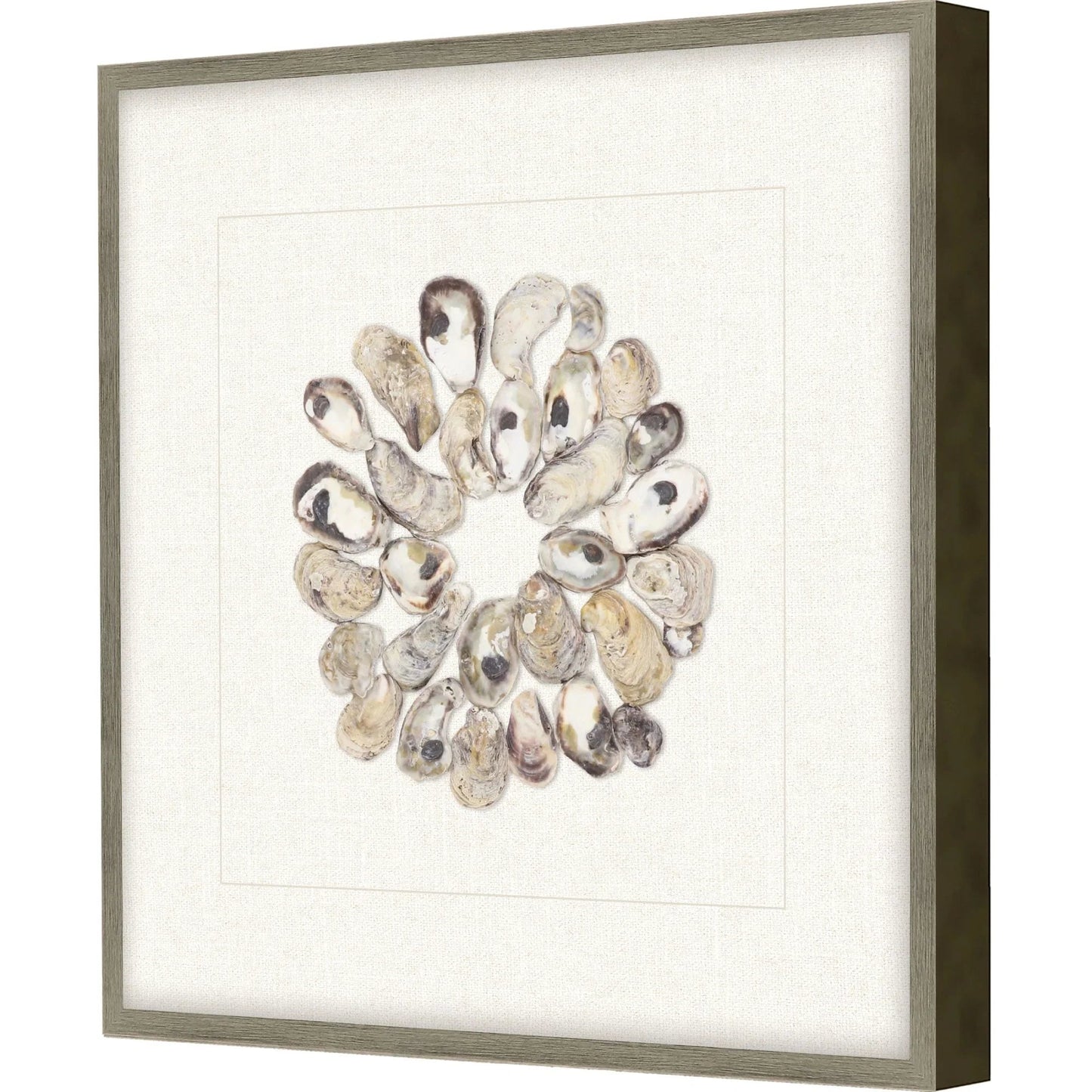 Oyster Shell Beige Canvas Art