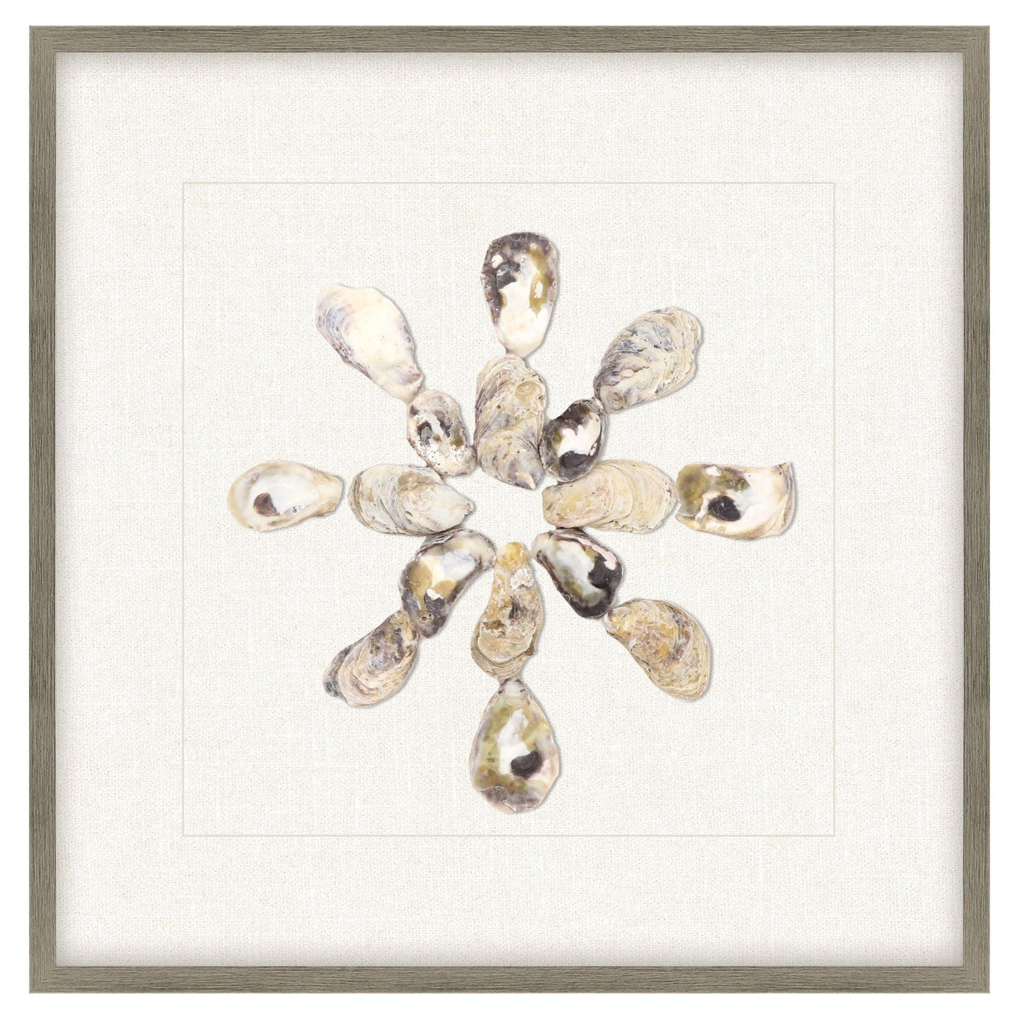 Oyster Shell Beige Canvas Art