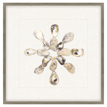 Oyster Shell Beige Canvas Art