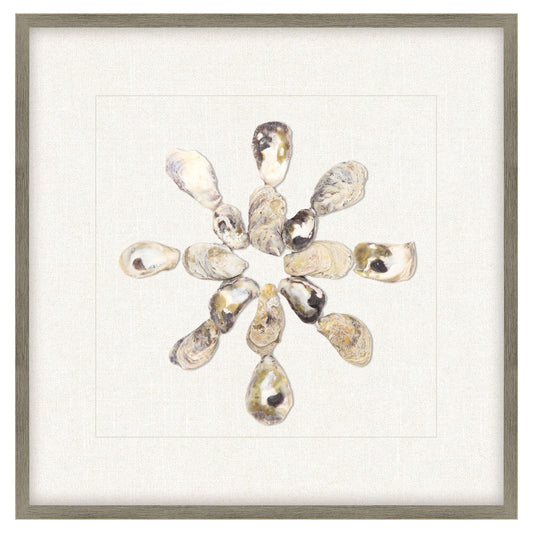 Oyster Shell Beige Canvas Art