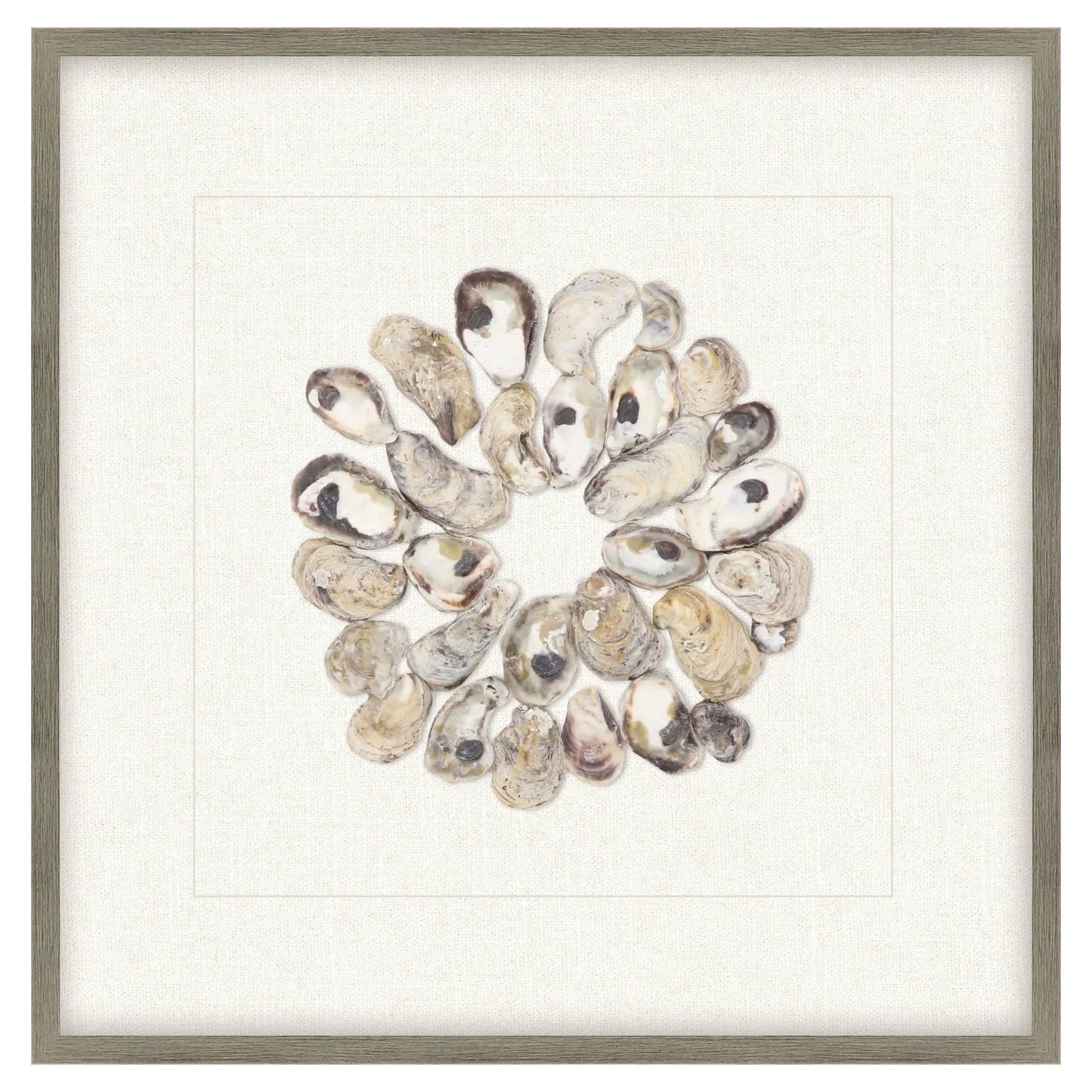 Oyster Shell Beige Canvas Art