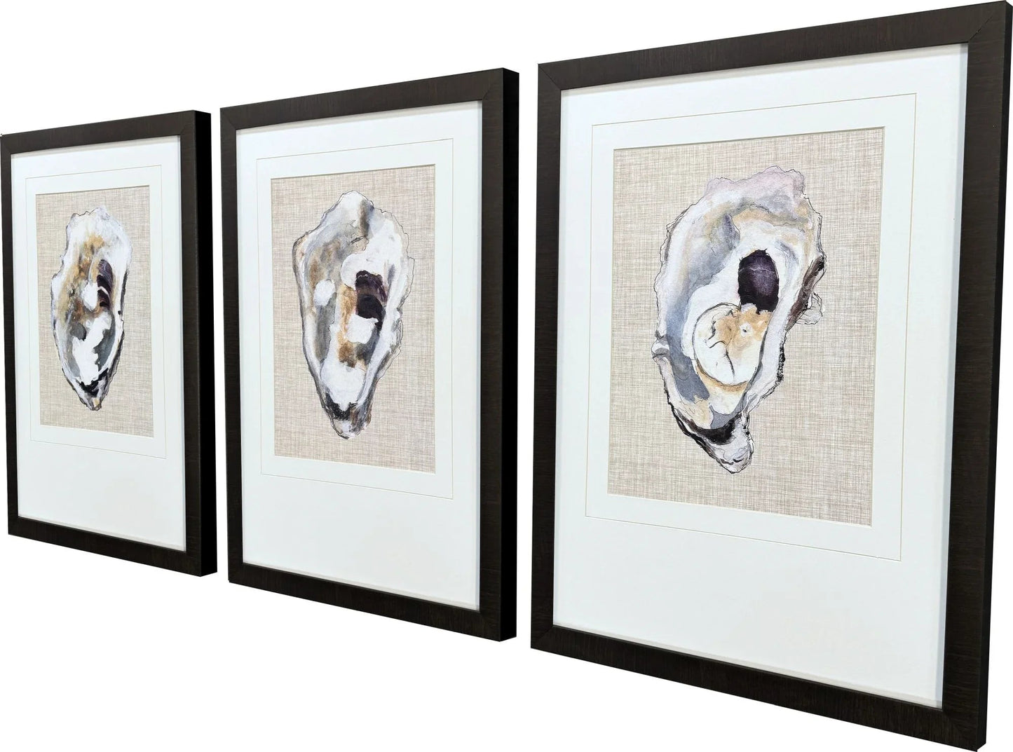 Oyster Shell Study Neutral Canvas Art 3PC