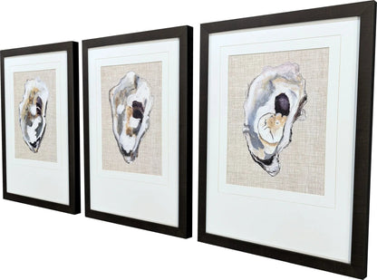 Oyster Shell Study Neutral Canvas Art 3PC