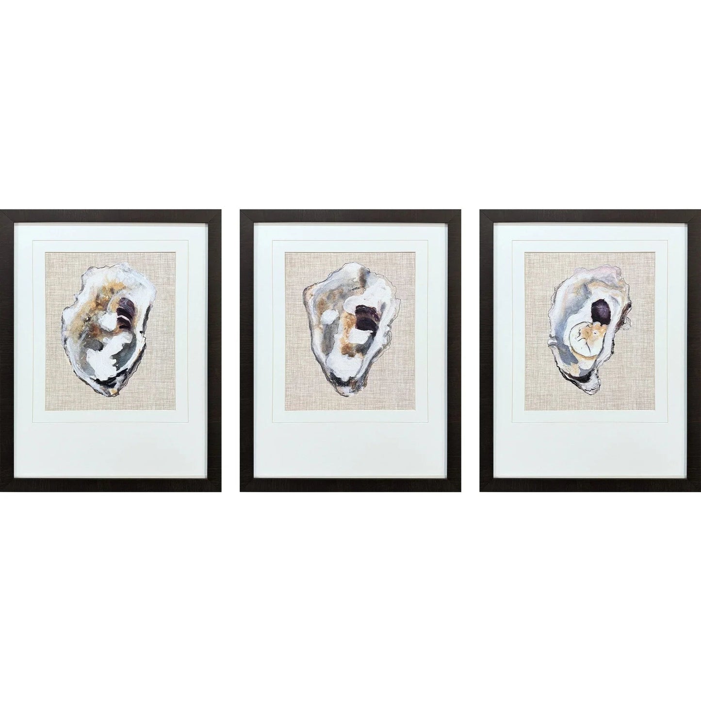 Oyster Shell Study Neutral Canvas Art 3PC