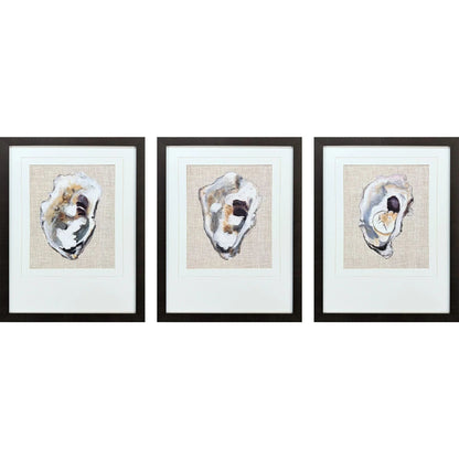 Oyster Shell Study Neutral Canvas Art 3PC