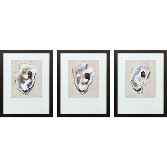 Oyster Shell Study Neutral Canvas Art 3PC