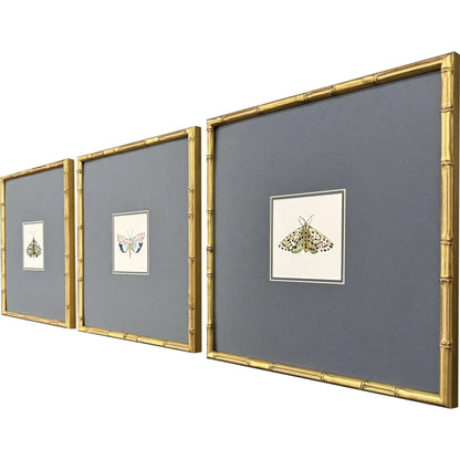 Pastel Moths Wood Frame Green Canvas Art 3PC