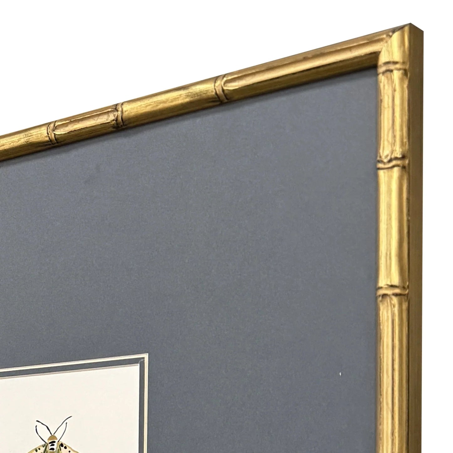 Pastel Moths Wood Frame Green Canvas Art 3PC