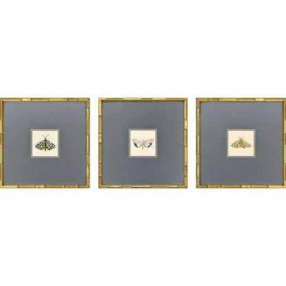 Pastel Moths Wood Frame Green Canvas Art 3PC