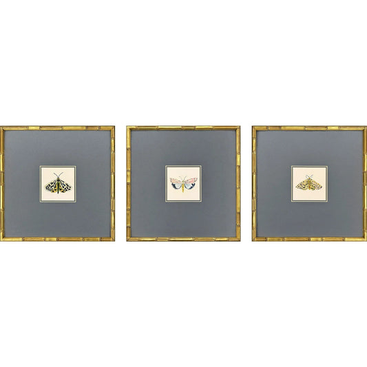 Pastel Moths Wood Frame Green Canvas Art 3PC