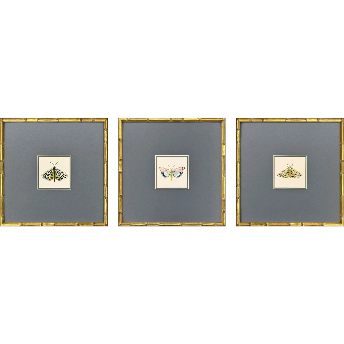 Pastel Moths Wood Green Framed Wall Art 3PC