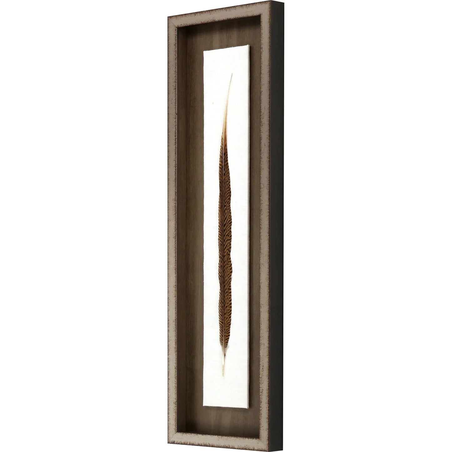 Pheasant Feather Wood Frame Brown Canvas Art
