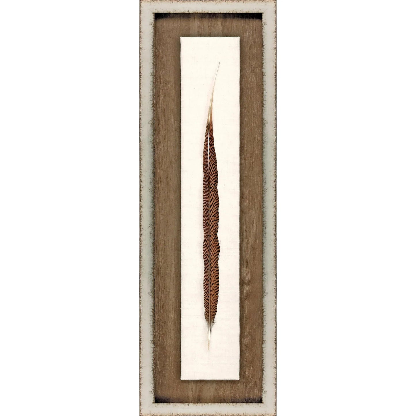 Pheasant Feather Wood Frame Brown Canvas Art