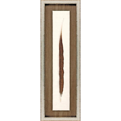 Pheasant Feather Wood Frame Brown Canvas Art