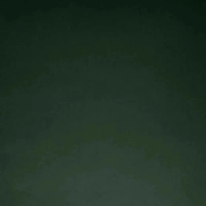 Posh Box Forest Solid Green Large Throw Pillow Insert - LOOMLAN - D.V. Kap - Throw Pillows