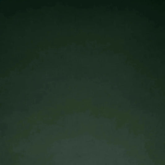 Posh Box Forest Solid Green Large Throw Pillow Insert - LOOMLAN - D.V. Kap - Throw Pillows