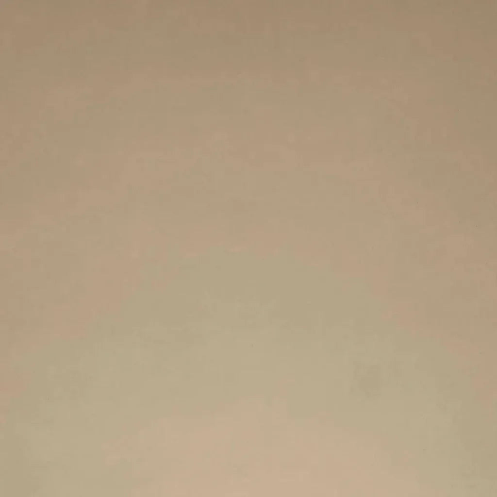 Posh Box Latte Brown Throw Pillow Insert - LOOMLAN - D.V. Kap - Throw Pillows