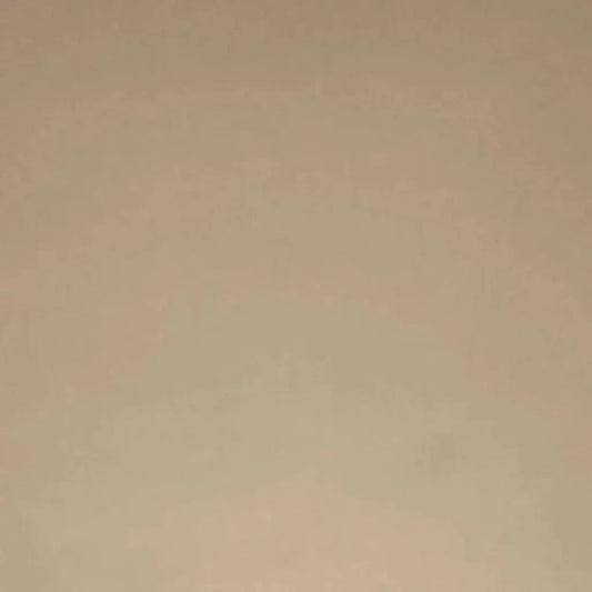 Posh Box Latte Solid Taupe Large Throw Pillow Insert - LOOMLAN - D.V. Kap - Throw Pillows