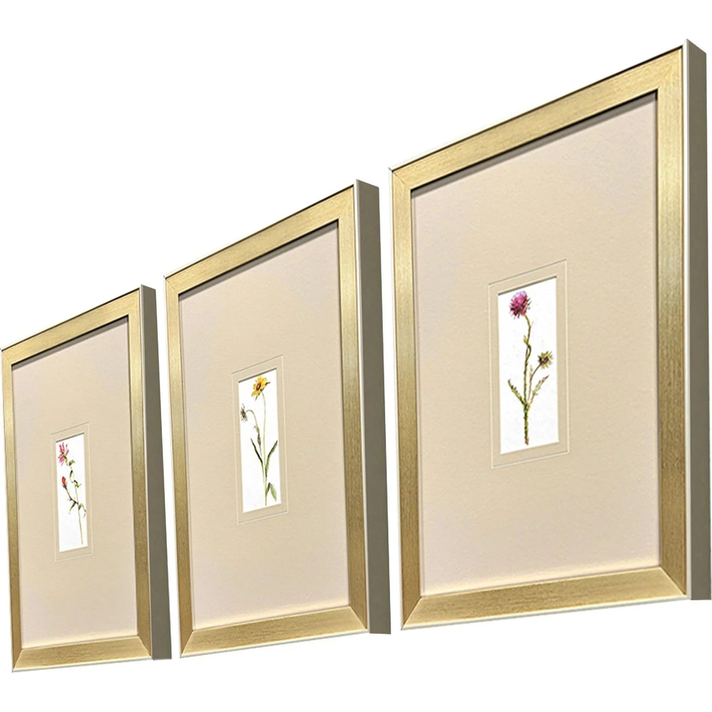 Pretty Florals Multi Canvas Art 3PC