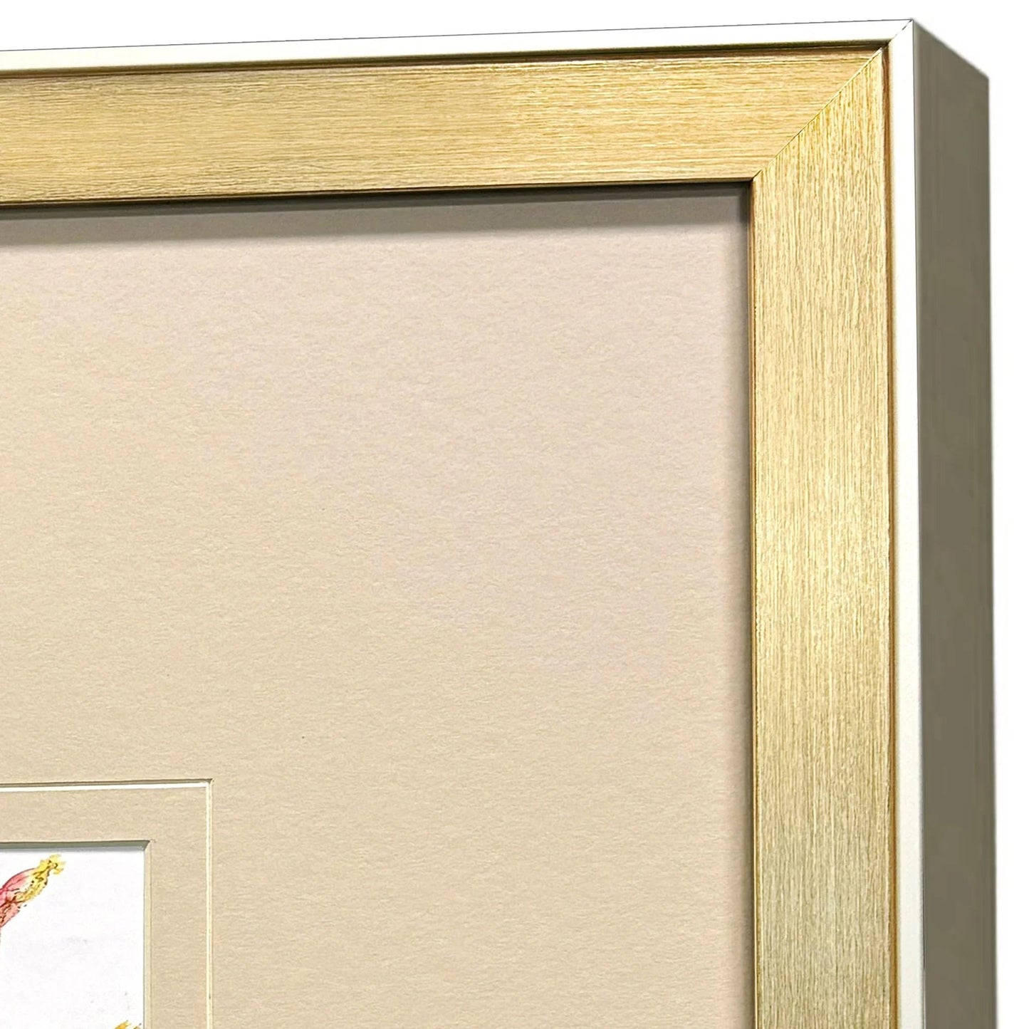 Pretty Florals Multi Canvas Art 3PC