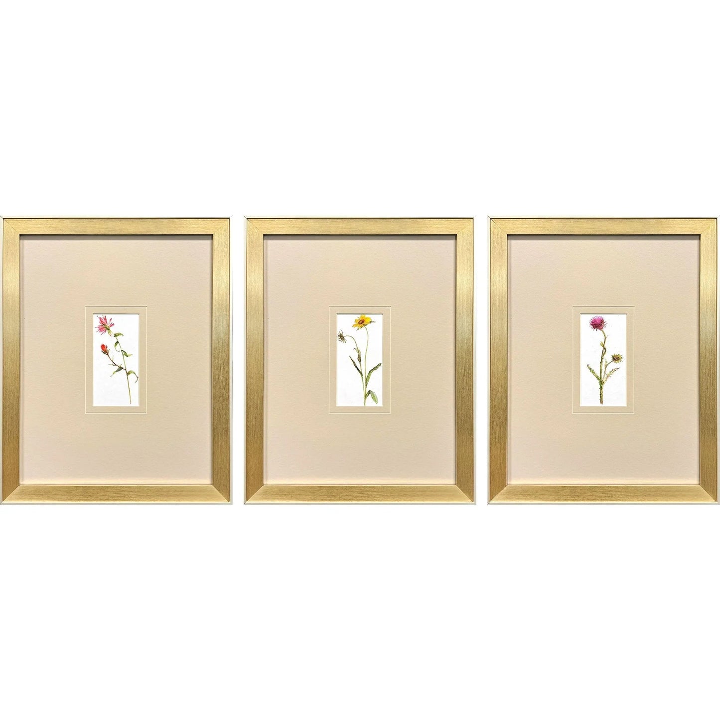 Pretty Florals Multi Canvas Art 3PC