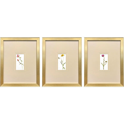 Pretty Florals Multi Canvas Art 3PC