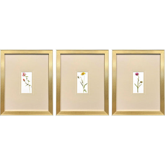 Pretty Florals Multi Canvas Art 3PC