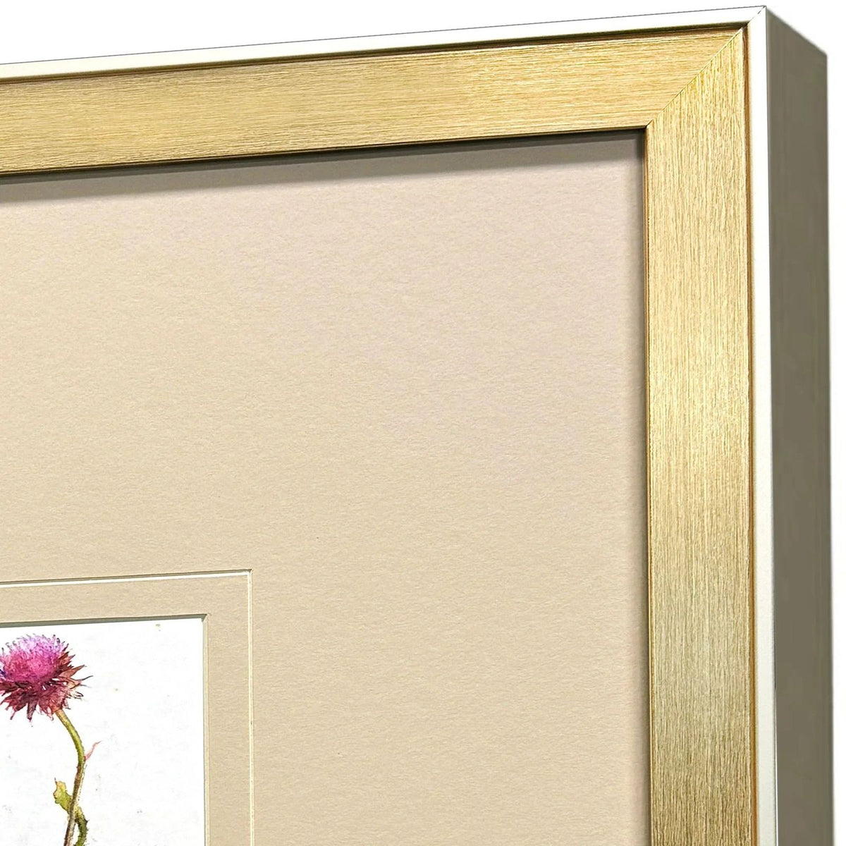 Pretty Florals Multi Framed Wall Art 3PC -- view 4