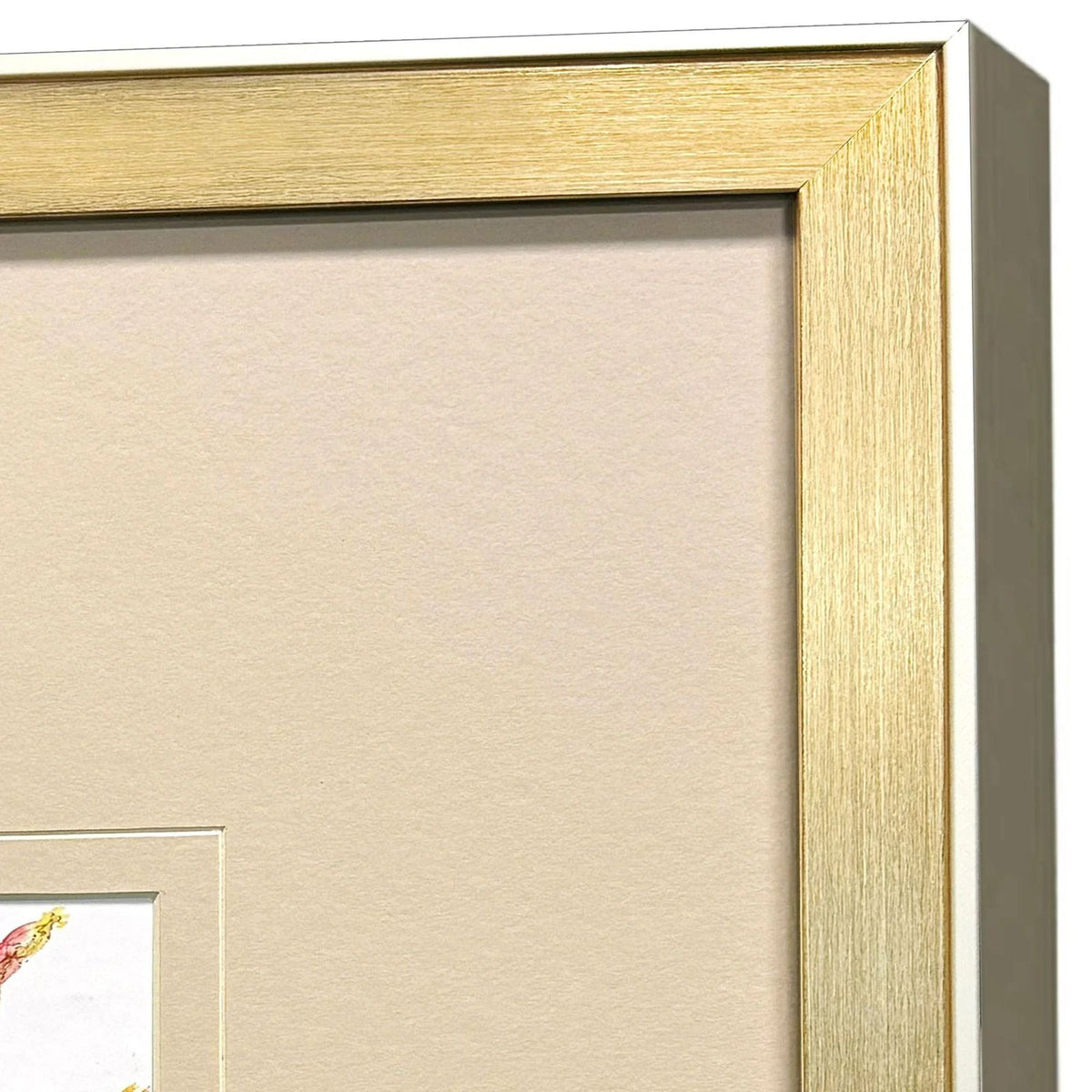 Pretty Florals Multi Framed Wall Art 3PC -- view 8