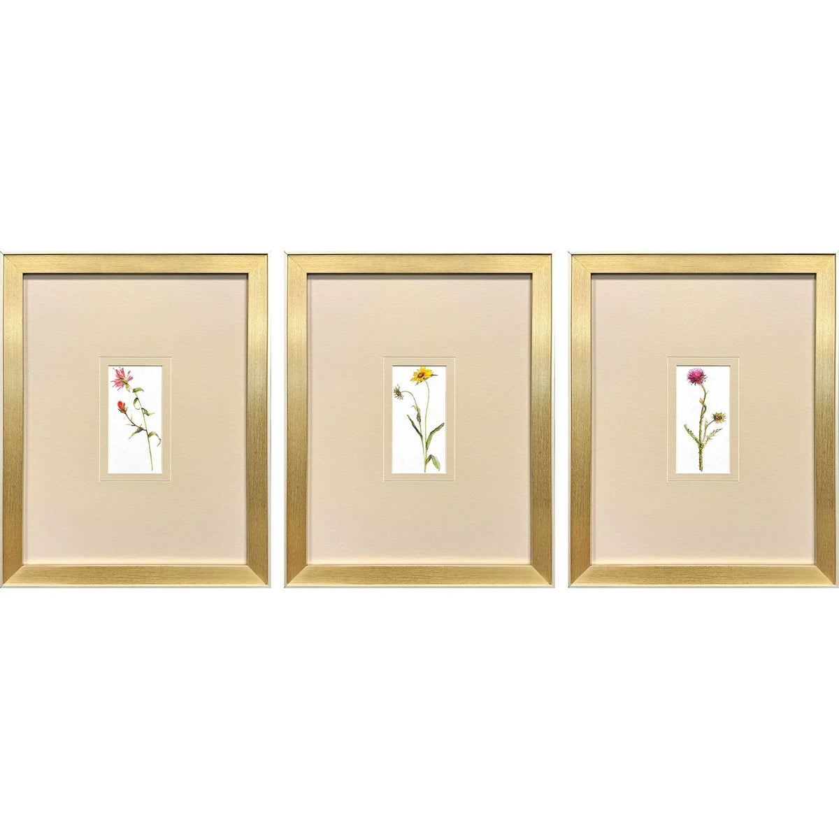 Pretty Florals Multi Framed Wall Art 3PC