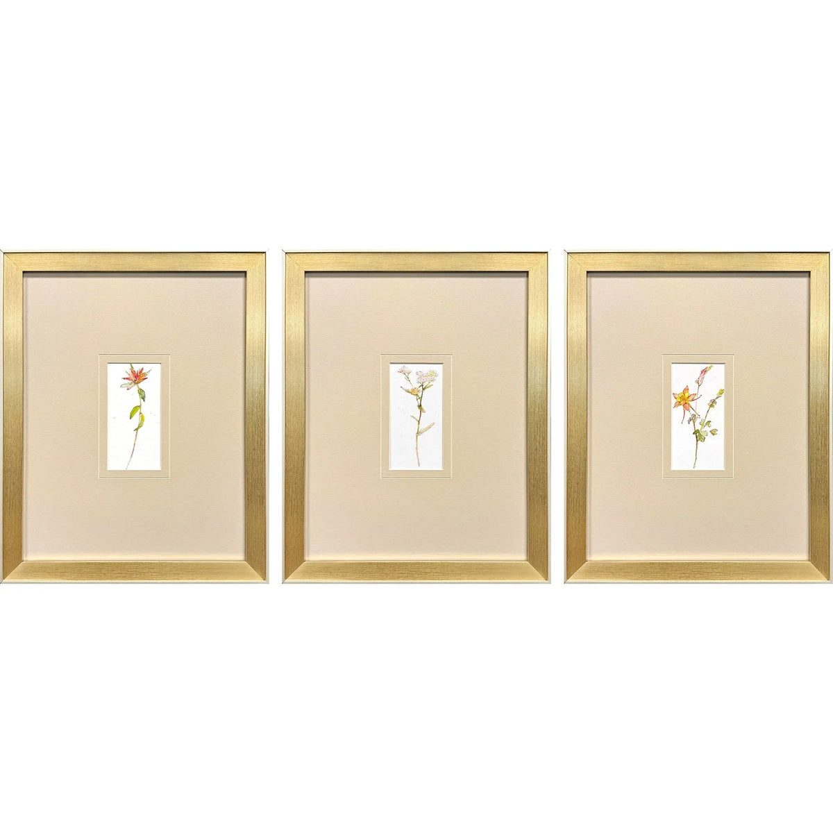 Pretty Florals Multi Framed Wall Art 3PC -- view 5