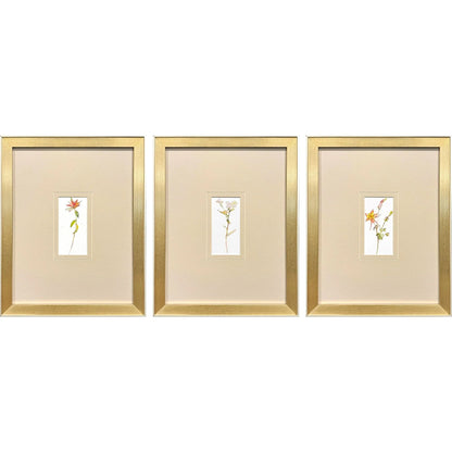 Pretty Florals Multi Framed Wall Art 3PC -- view 5