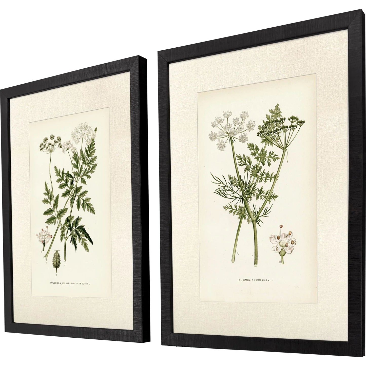 Queen's Lace Green Canvas Art 2PC