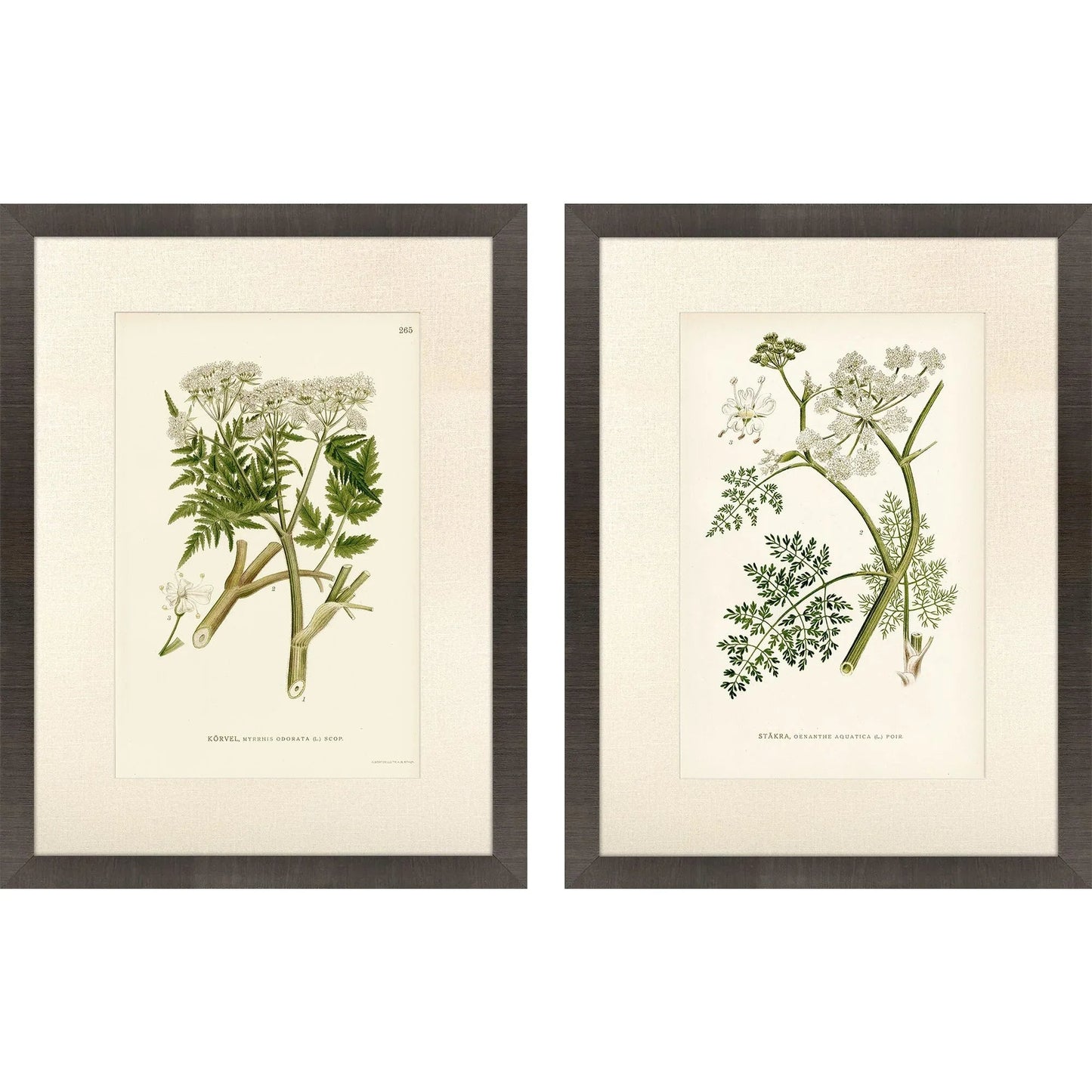 Queen's Lace Green Canvas Art 2PC