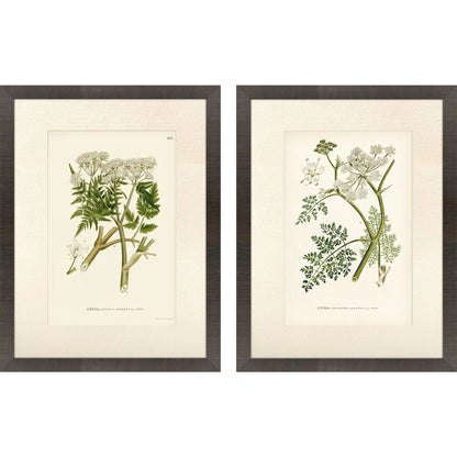 Queen's Lace Green Canvas Art 2PC
