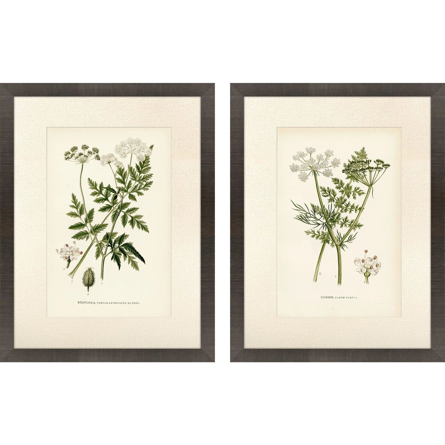 Queen's Lace Green Canvas Art 2PC