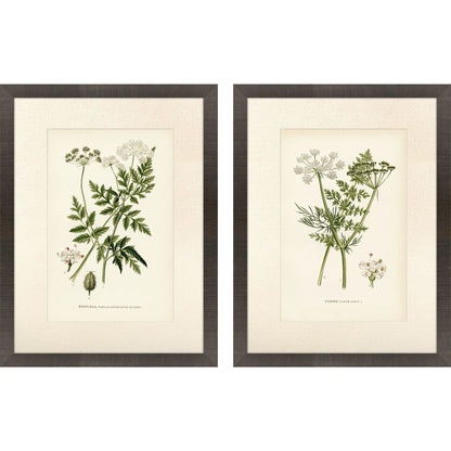 Queen's Lace Green Canvas Art 2PC