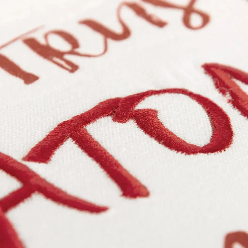 Red Skye Words Fun Decorative Couch Pillows Down Insert - LOOMLAN - LOOMLAN - Throw Pillows