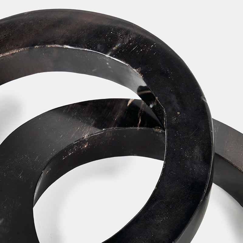 Rhys Rings Petrified Wood Sculpture