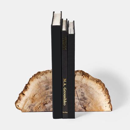 Rocco Petrified Wood Bookend
