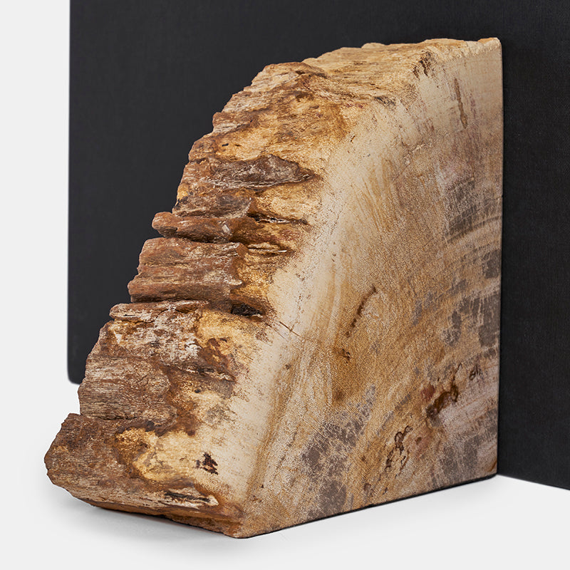 Rocco Petrified Wood Bookend