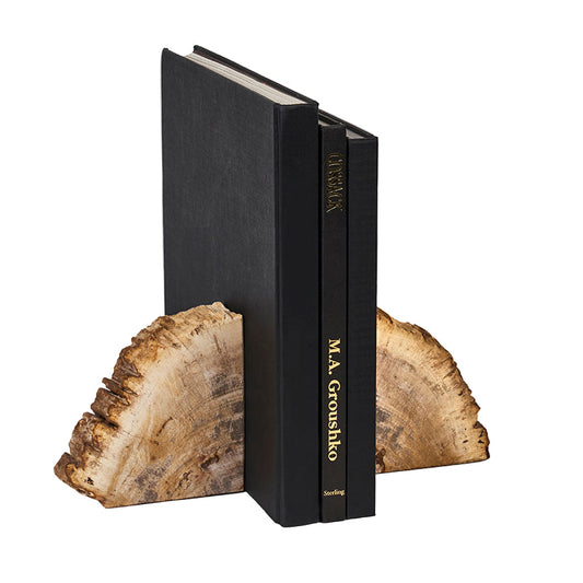 Rocco Petrified Wood Bookend