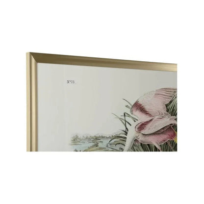 Roseate Spoonbill Gold Framed Artwork-Framed Wall Art-Chelsea House-LOOMLAN