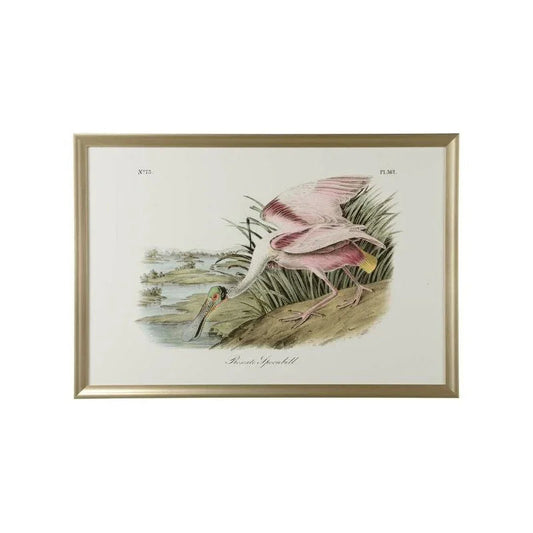 Roseate Spoonbill Gold Framed Artwork-Framed Wall Art-Chelsea House-LOOMLAN