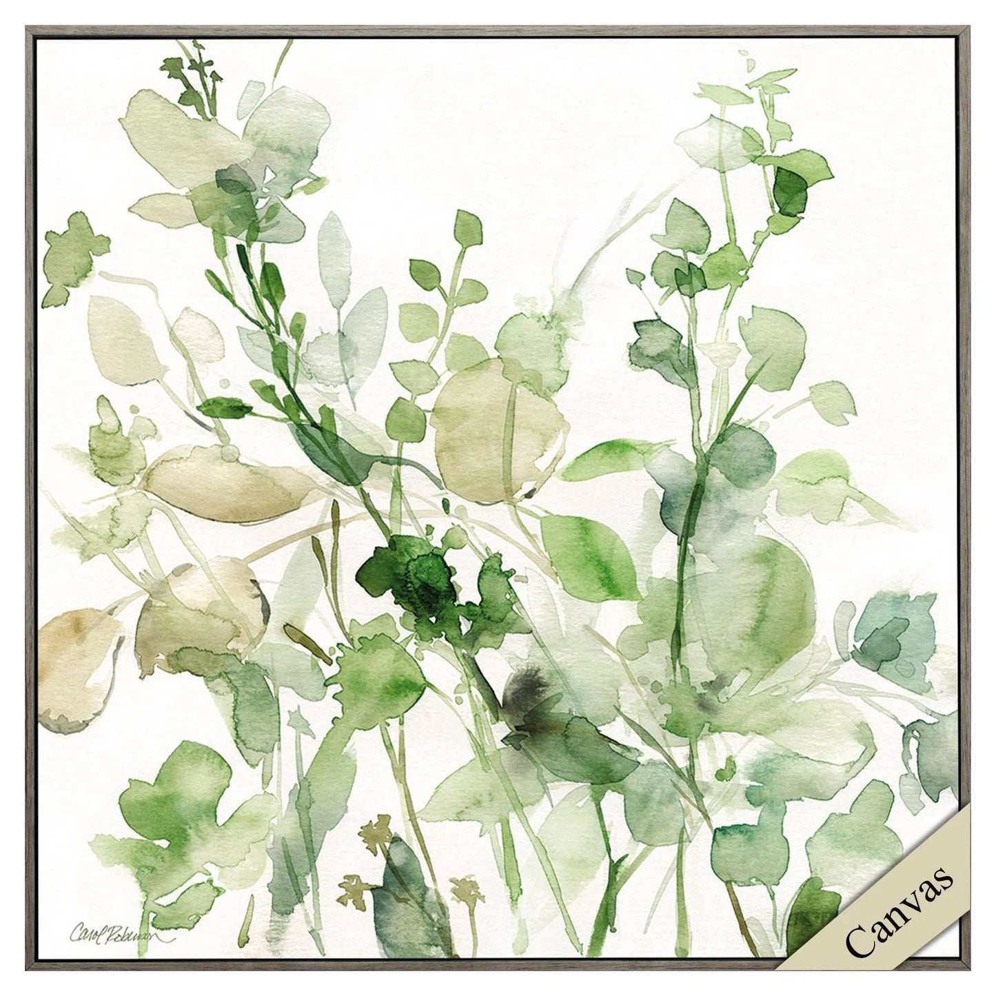 Sage Garden II Green Canvas Art