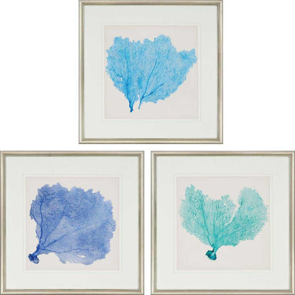 Sea Fan II Wood Frame Blue Canvas Art 3PC