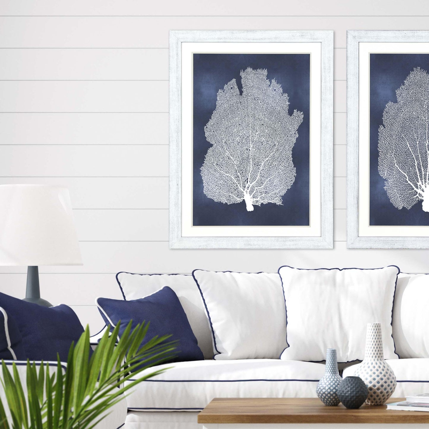 Sea Fan on Blue Wood Frame Canvas Art