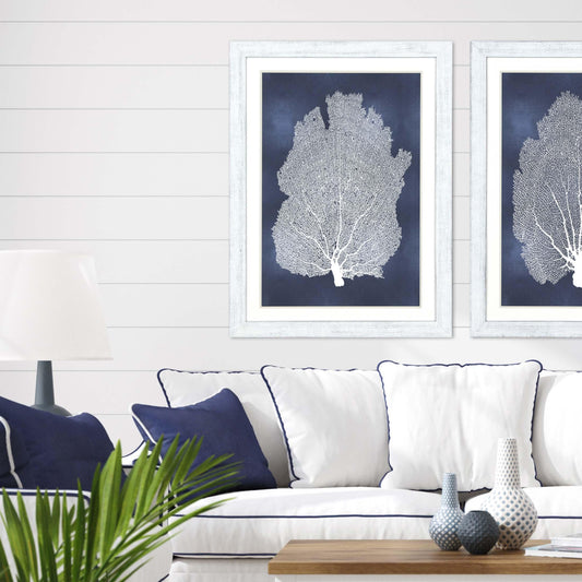 Sea Fan on Blue Wood Frame Canvas Art